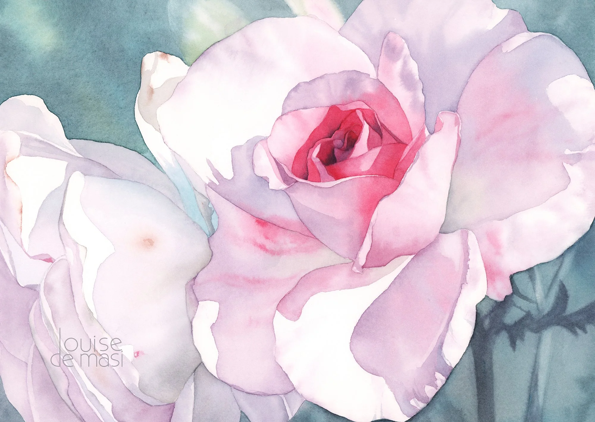 Whispering Petals - Tranquil Rose Watercolour by Louise De Masi